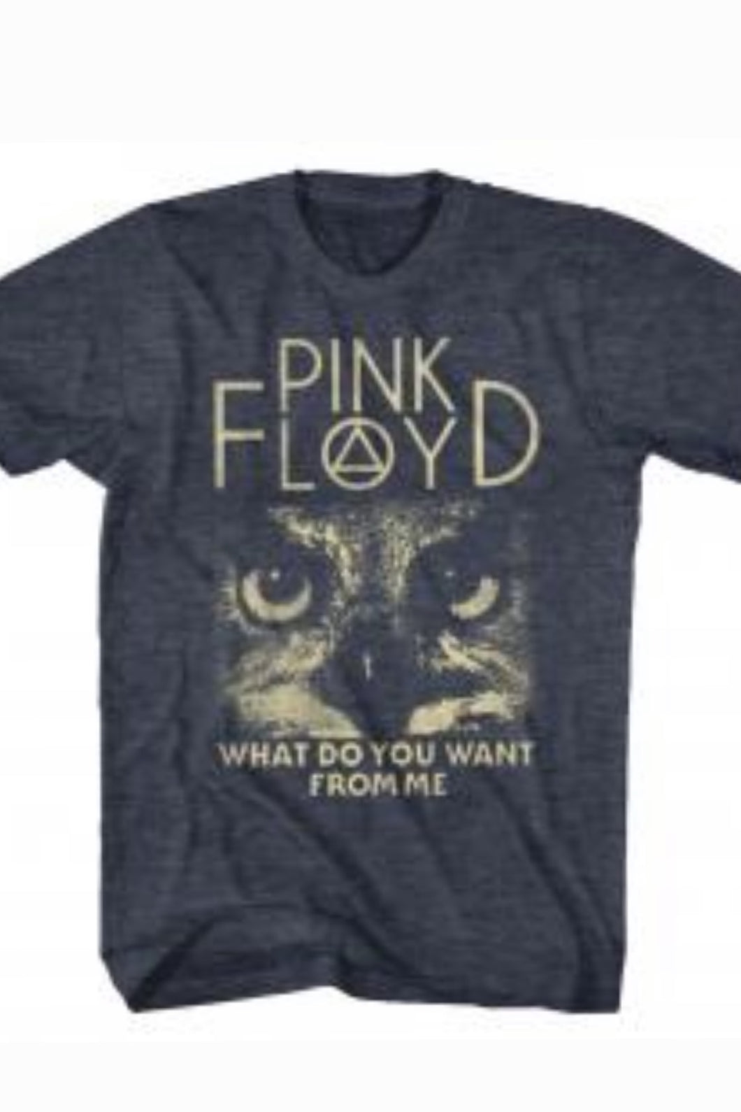 Pink Floyd What Do You From Me Classic